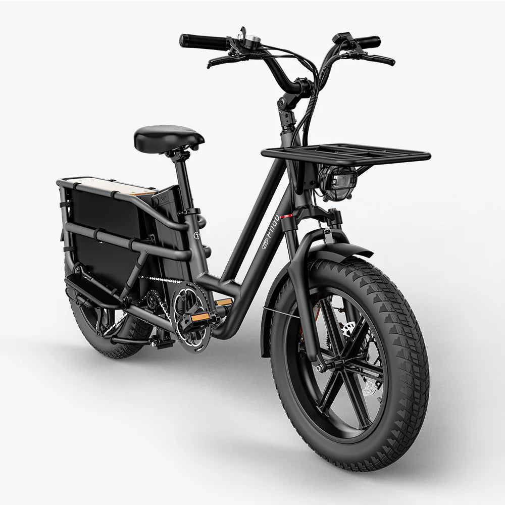 Fiido T2 Cargo bike