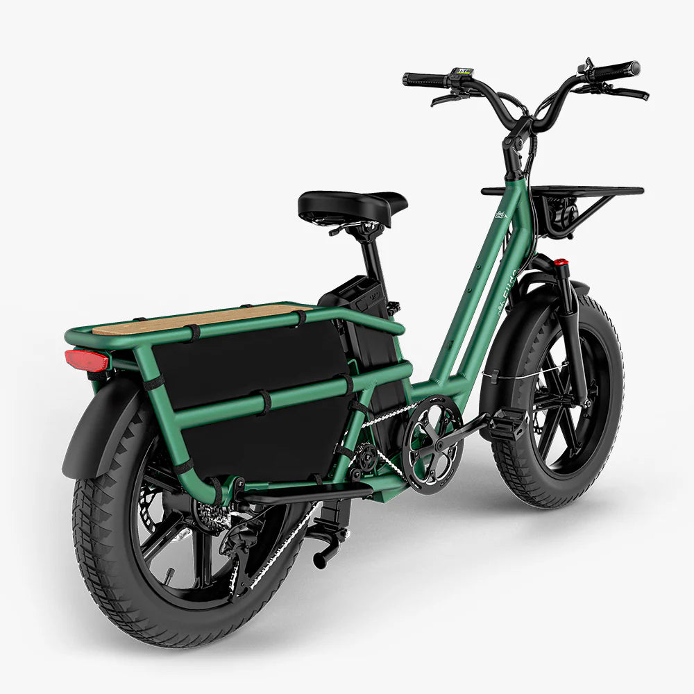Fiido T2 Cargo bike