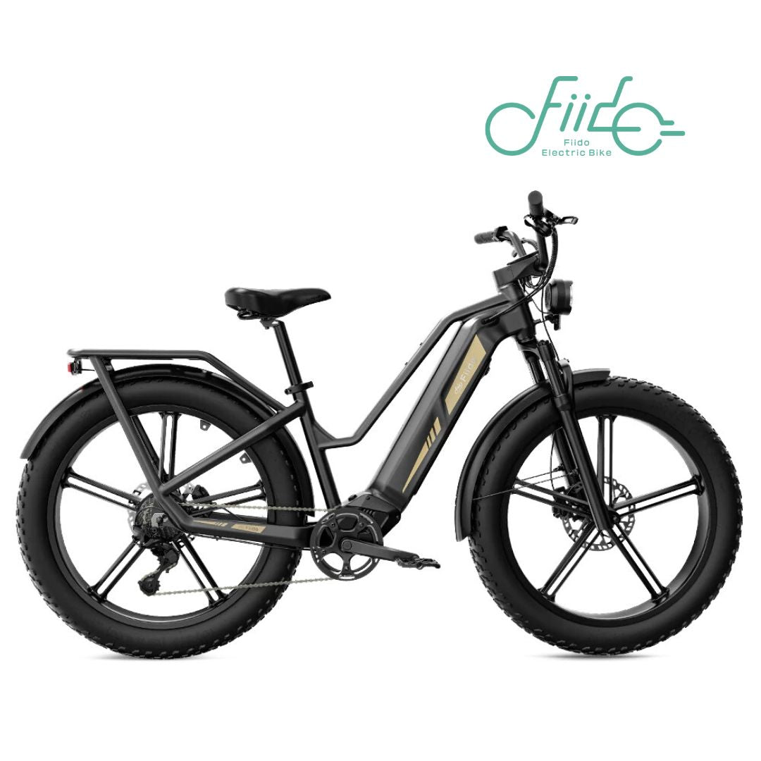 FIIDO Bici Elettriche Napoli Elettrica Napolielettrica FIIDO Bici Elettriche Napoli Elettrica Napolielettrica
